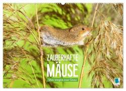 Zauberhafte Mäuse: Von wegen nur Grau (Wandkalender 2024 DIN A2 quer), CALVENDO Monatskalender
