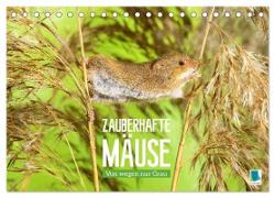 Zauberhafte Mäuse: Von wegen nur Grau (Tischkalender 2024 DIN A5 quer), CALVENDO Monatskalender