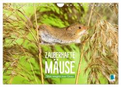Zauberhafte Mäuse: Von wegen nur Grau (Wandkalender 2024 DIN A4 quer), CALVENDO Monatskalender