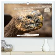 Die Riesenschildkröten der Galapagos Inseln (hochwertiger Premium Wandkalender 2024 DIN A2 quer), Kunstdruck in Hochglanz