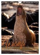 Wildlife - Die Tierwelt der Galapagos Inseln (Wandkalender 2024 DIN A4 hoch), CALVENDO Monatskalender