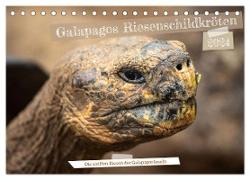 Die Riesenschildkröten der Galapagos Inseln (Tischkalender 2024 DIN A5 quer), CALVENDO Monatskalender