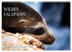 Wildes Galapagos - Die Tiere der Galapagos Inseln (Wandkalender 2024 DIN A3 quer), CALVENDO Monatskalender