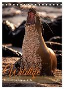 Wildlife - Die Tierwelt der Galapagos Inseln (Tischkalender 2024 DIN A5 hoch), CALVENDO Monatskalender