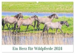 Ein Herz für Wildpferde (Wandkalender 2024 DIN A2 quer), CALVENDO Monatskalender