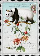 Postkarte. Auguri - Pandabär