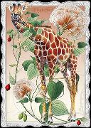 Postkarte. Auguri - Giraffe