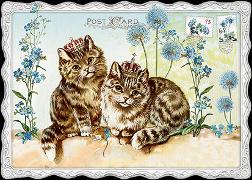 Postkarte. Auguri - Katzen