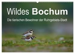 Wildes Bochum (Wandkalender 2024 DIN A2 quer), CALVENDO Monatskalender