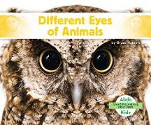 Different Eyes of Animals