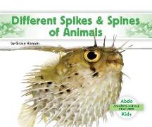 Different Spikes & Spines of Animals