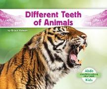 Different Teeth of Animals