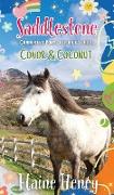 Saddlestone Connemara Pony Listening School | Conor and Coconut