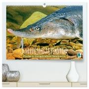 Karpfen, Barbe, Stör: Fische in europäischen Gewässern (hochwertiger Premium Wandkalender 2024 DIN A2 quer), Kunstdruck in Hochglanz
