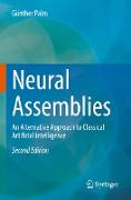 Neural Assemblies