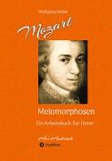Mozart - Melomorphosen: Früchte der Musikmeditation, sichtbar gemachte Informationsmatrix ausgewählter Musikstücke, Gestaltwerkzeuge für Musikhörer, ohne Verwendung von Noten/Partituren