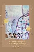 Meridian Master A Journey Through the Twelve Major Pathways