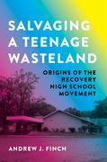 Salvaging a Teenage Wasteland