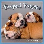 Pooped Puppies