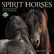Spirit Horses 2024 Wall Calendar: By Tony Stromberg