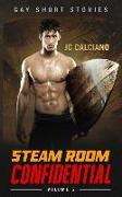 Steam Room Confidential: Volume 5: Gay Short Stories