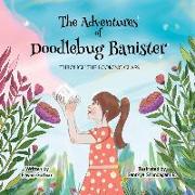 The Adventures of Doodlebug Banister: Through the Looking Glass