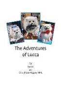 The Adventures of Lucca
