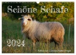 Schöne Schafe (Wandkalender 2024 DIN A3 quer), CALVENDO Monatskalender