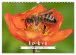 Insekten - Kleine Helfer unseres Lebens (Wandkalender 2024 DIN A3 quer), CALVENDO Monatskalender