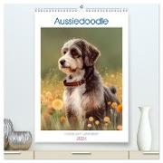 Aussiedoodle - Hunde zum Liebhaben (hochwertiger Premium Wandkalender 2024 DIN A2 hoch), Kunstdruck in Hochglanz