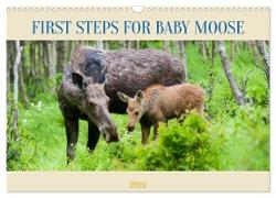 FIRST STEPS FOR BABY MOOSE (Wall Calendar 2024 DIN A3 landscape), CALVENDO 12 Month Wall Calendar