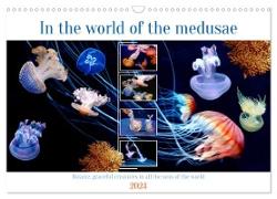 In the world of the medusae (Wall Calendar 2024 DIN A3 landscape), CALVENDO 12 Month Wall Calendar