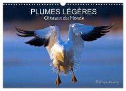 PLUMES LÉGÈRES. Oiseaux du Monde (Calendrier mural 2024 DIN A3 vertical), CALVENDO calendrier mensuel