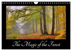 The Magic of the Forest (Wall Calendar 2024 DIN A4 landscape), CALVENDO 12 Month Wall Calendar
