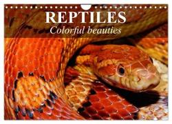 Reptiles Colorful beauties (Wall Calendar 2024 DIN A4 landscape), CALVENDO 12 Month Wall Calendar