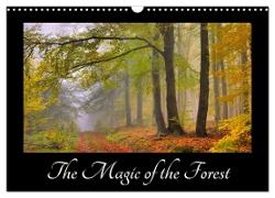 The Magic of the Forest (Wall Calendar 2024 DIN A3 landscape), CALVENDO 12 Month Wall Calendar