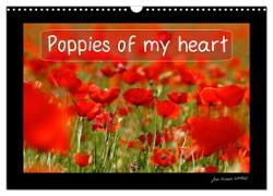 Poppies of my heart (Wall Calendar 2024 DIN A3 landscape), CALVENDO 12 Month Wall Calendar