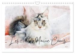 Les chats Maine Coons (Calendrier mural 2024 DIN A4 vertical), CALVENDO calendrier mensuel