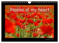 Poppies of my heart (Wall Calendar 2024 DIN A4 landscape), CALVENDO 12 Month Wall Calendar