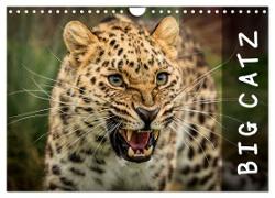 Big Catz (Wall Calendar 2024 DIN A4 landscape), CALVENDO 12 Month Wall Calendar