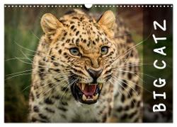 Big Catz (Wall Calendar 2024 DIN A3 landscape), CALVENDO 12 Month Wall Calendar