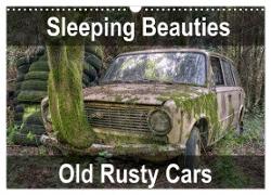 Sleeping Beauties Old Rusty Cars (Wall Calendar 2024 DIN A3 landscape), CALVENDO 12 Month Wall Calendar