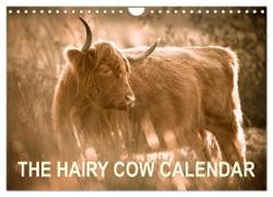 The Hairy Cow Calendar (Wall Calendar 2024 DIN A4 landscape), CALVENDO 12 Month Wall Calendar