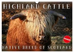 Highland Cattle - Native Breed of Scotland (Wall Calendar 2024 DIN A3 landscape), CALVENDO 12 Month Wall Calendar
