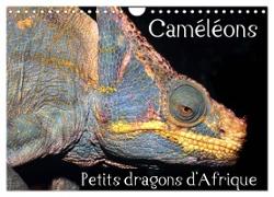 Caméléons - Petits dragons d'Afrique. (Calendrier mural 2024 DIN A4 vertical), CALVENDO calendrier mensuel