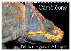 Caméléons - Petits dragons d'Afrique. (Calendrier mural 2024 DIN A3 vertical), CALVENDO calendrier mensuel