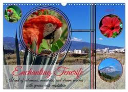 Enchanting Tenerife (Wall Calendar 2024 DIN A3 landscape), CALVENDO 12 Month Wall Calendar