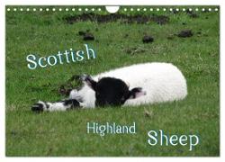 Scottish Highland Sheep (UK Version) (Wall Calendar 2024 DIN A4 landscape), CALVENDO 12 Month Wall Calendar