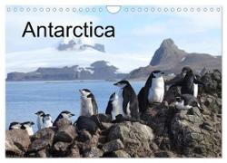 Antarctica (UK - Version) (Wall Calendar 2024 DIN A4 landscape), CALVENDO 12 Month Wall Calendar