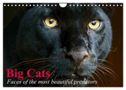 Big Cats ¿ Faces of the most beautiful predators (Wall Calendar 2024 DIN A4 landscape), CALVENDO 12 Month Wall Calendar
